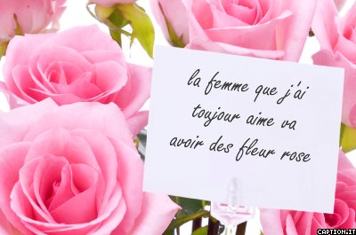 fleur rose